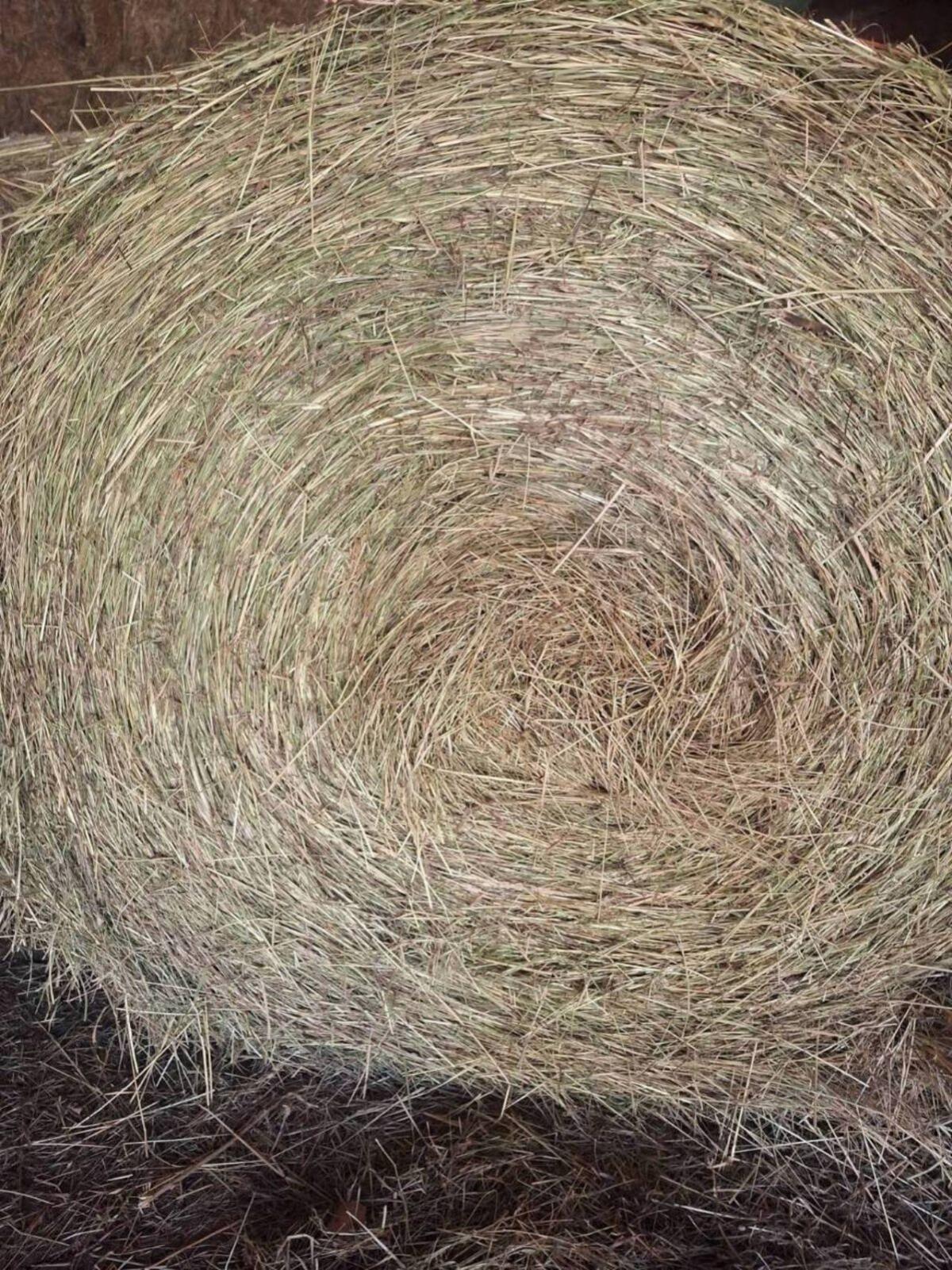 Gärheuballen foliert 1