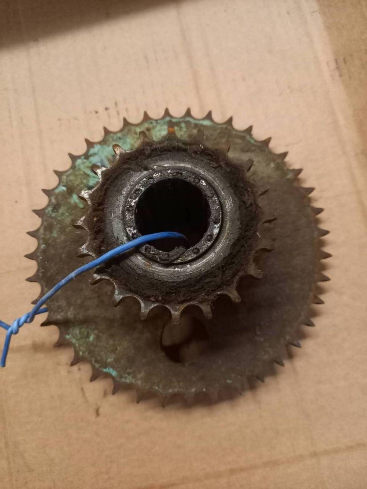 Doppel-Zahnrad Dechenreiter Lely Pick-up 2