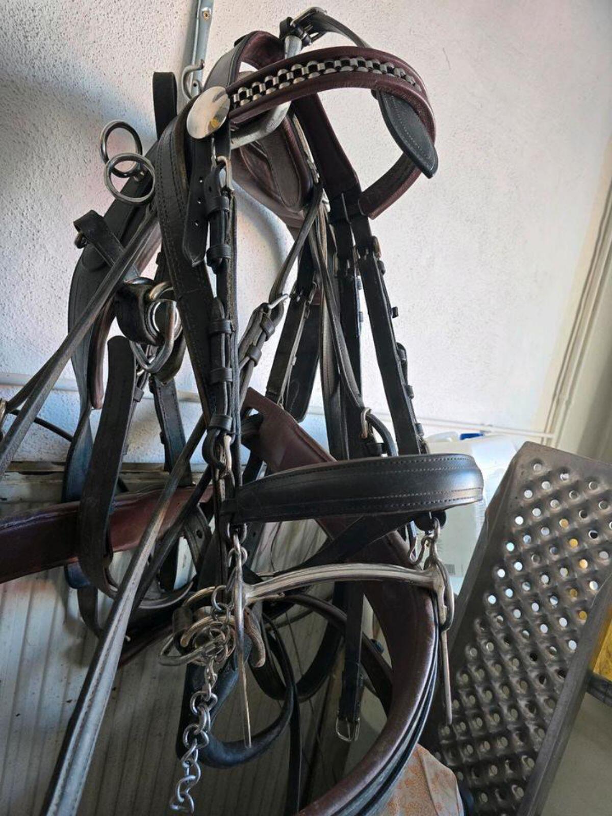 Zweispännergeschirr 2