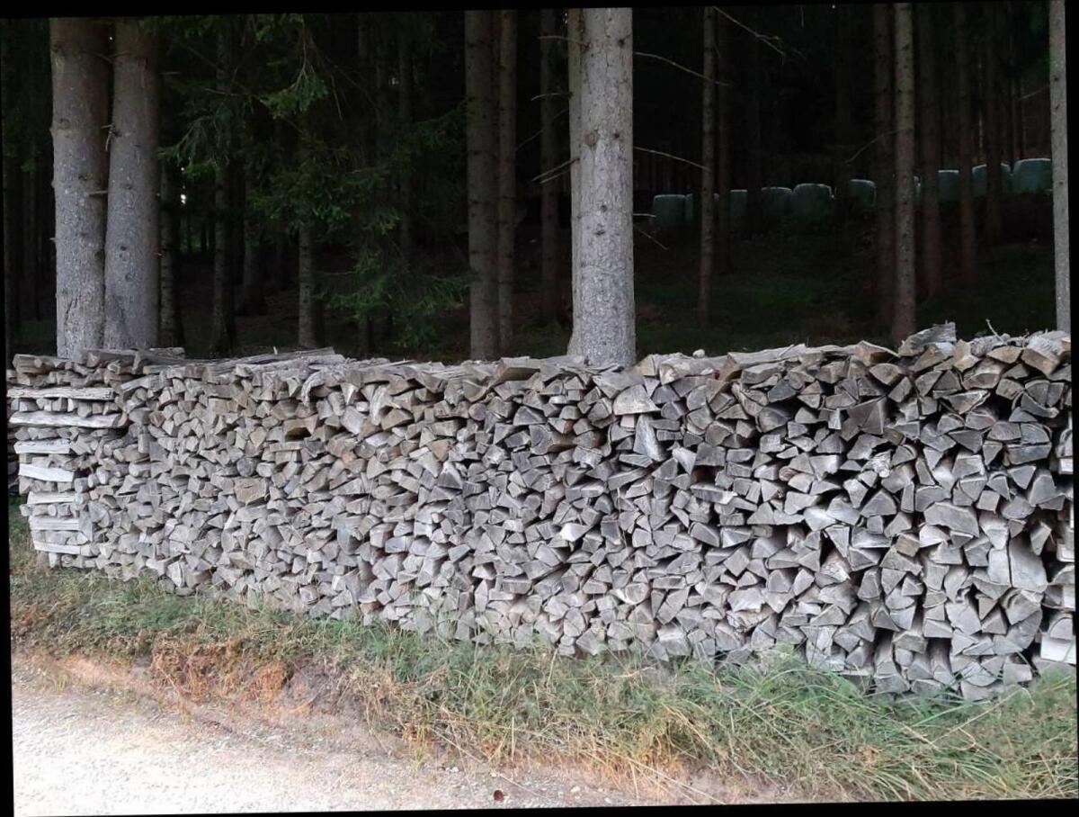 Brennholz zu verkaufen 2