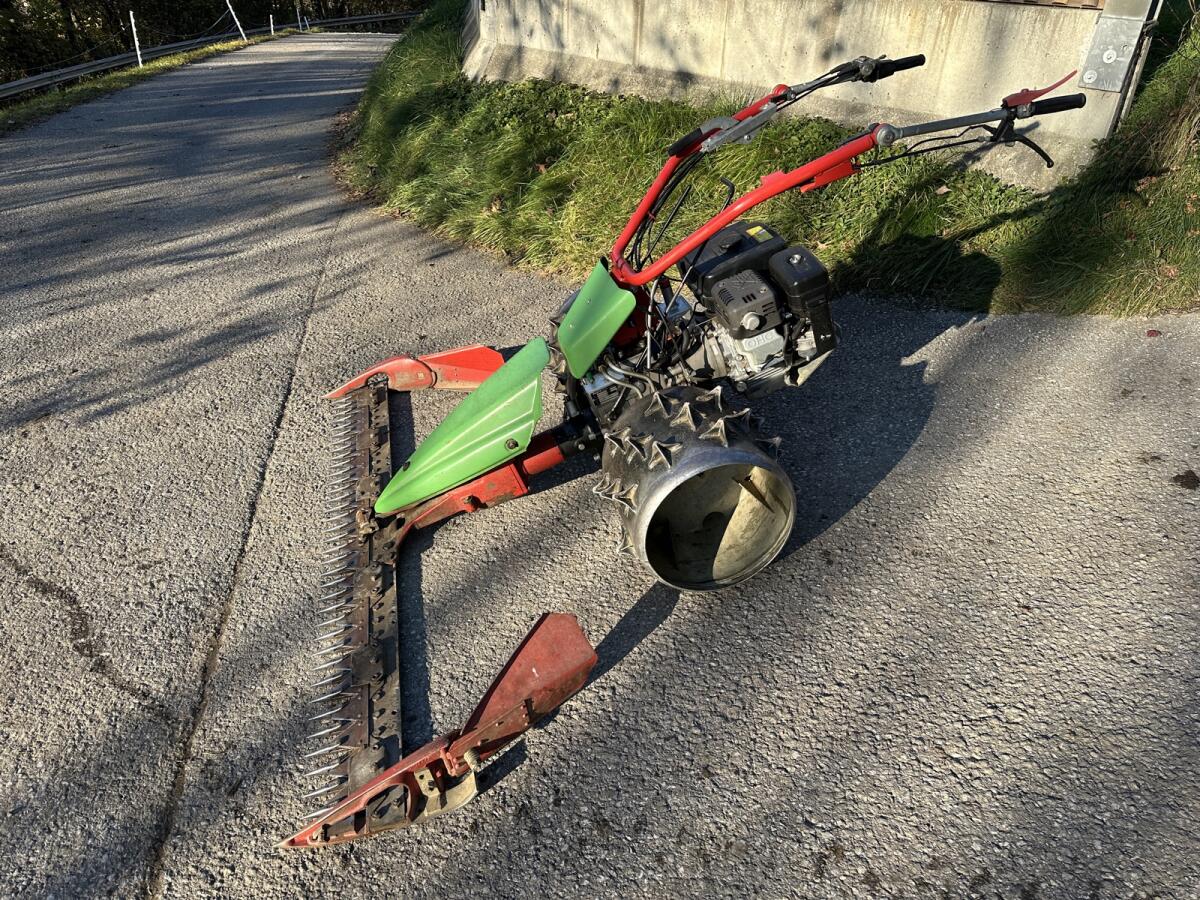 Rapid Swiss Motormäher 2