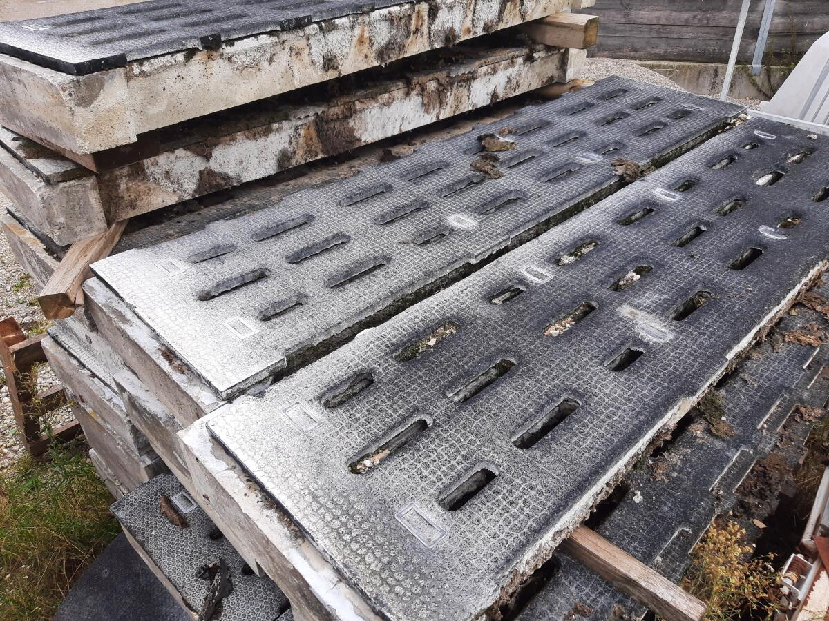 Betonspalten Rinderspalten 1