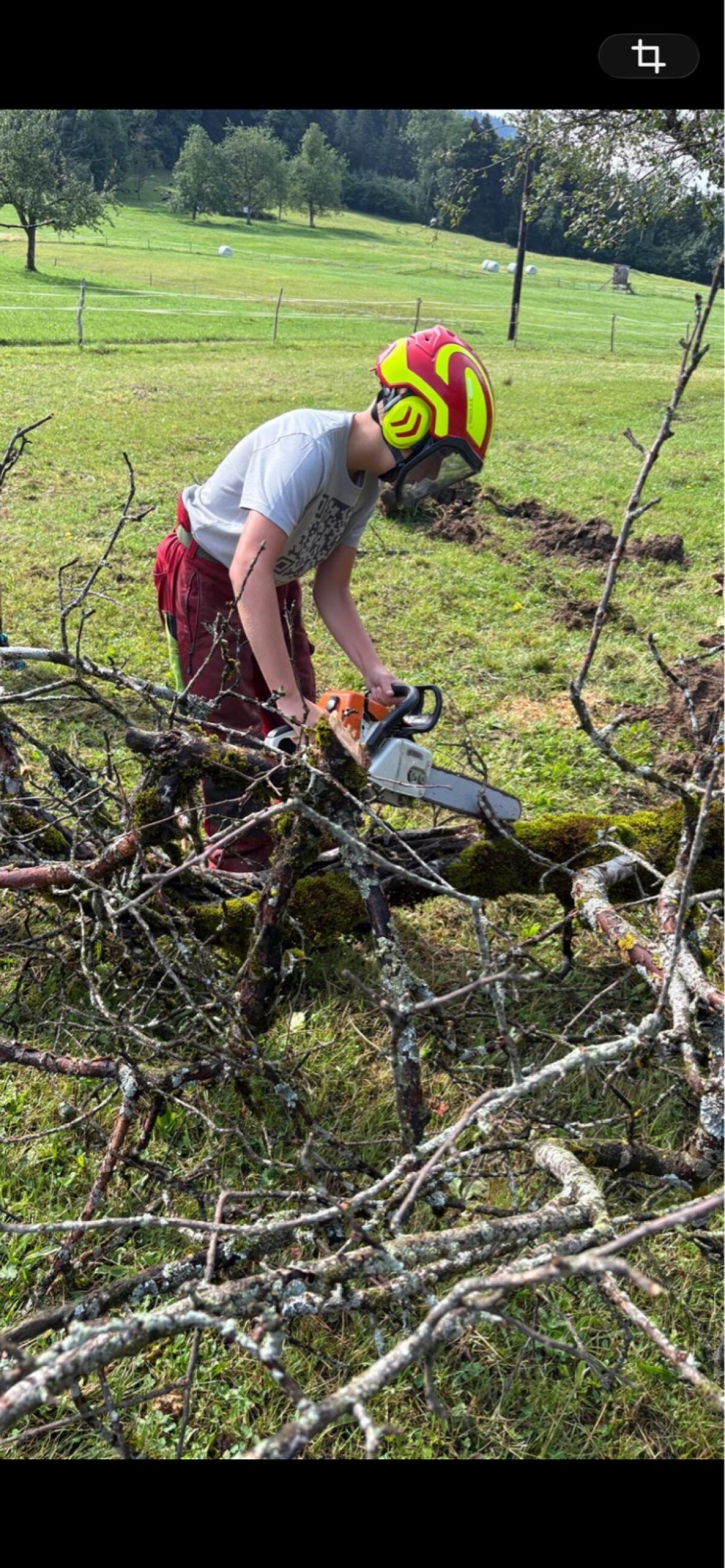 Forstunternehmen Rebenklauber 3