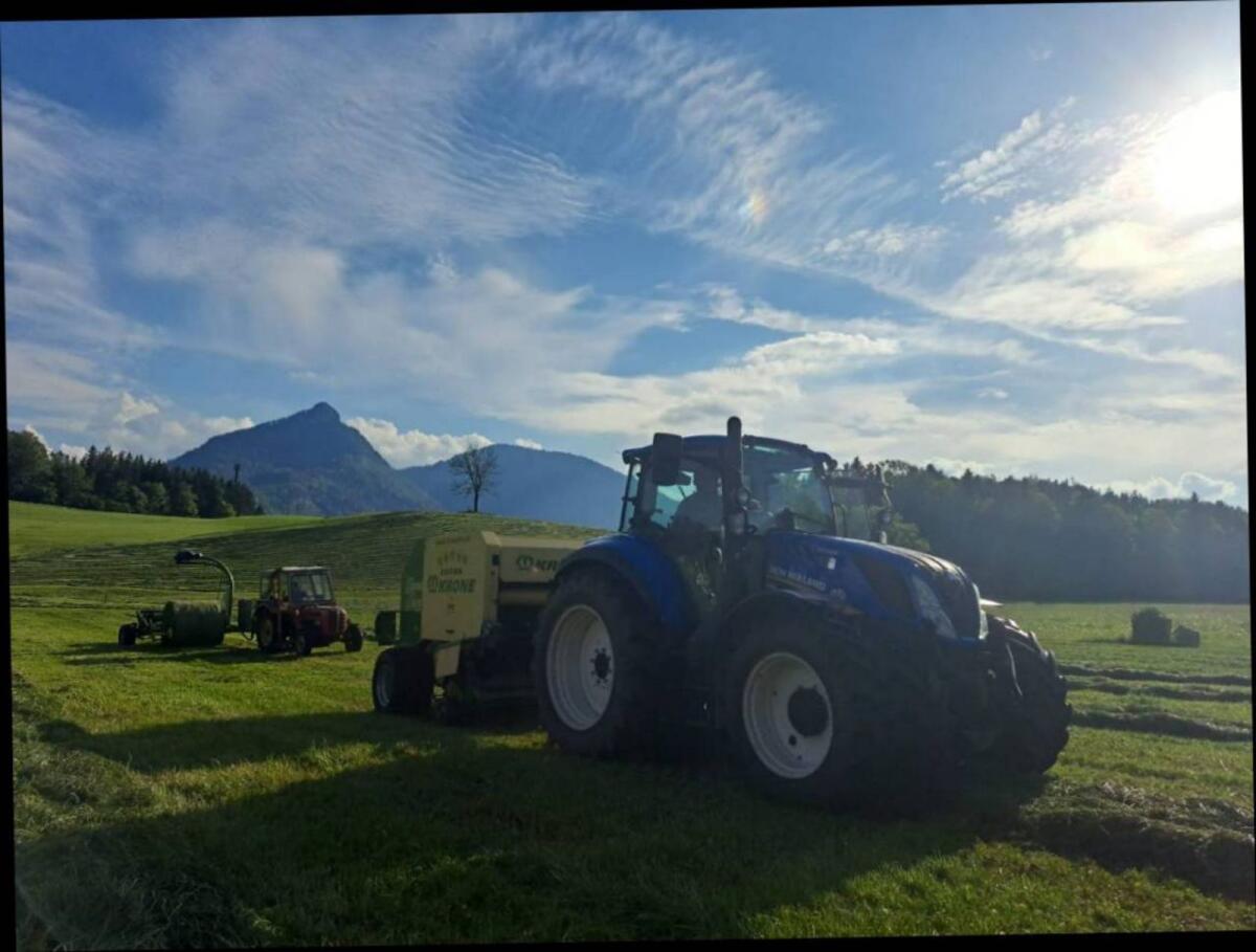 Praktikum Sommer 2026 3