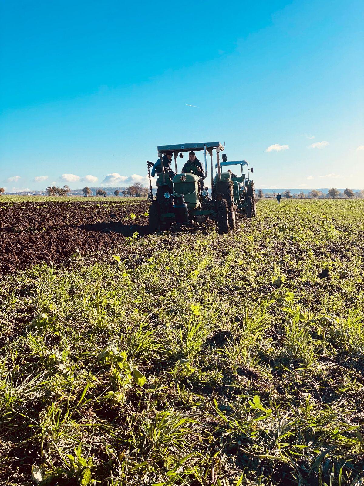 Deutz D40S Traktor 3