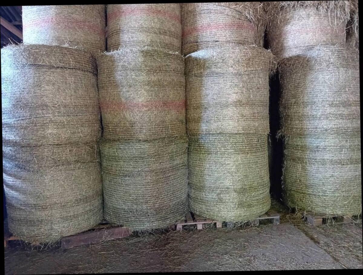 Heu Rundballen 1. Schnitt 2025 Bio 1