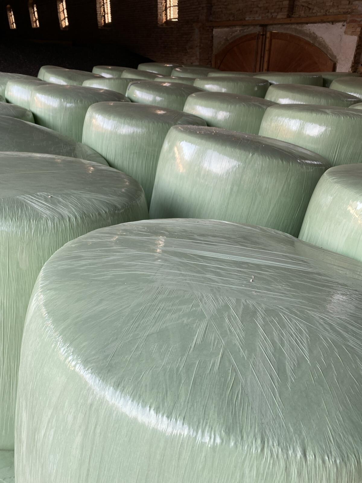 Bio-Silomais in Ballen (hallengelagert) 1