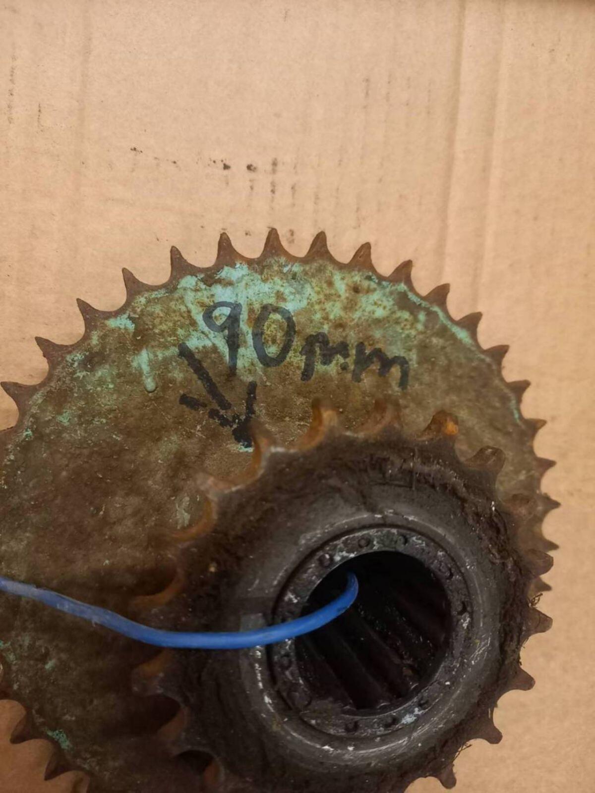 Doppel-Zahnrad Dechenreiter Lely Pick-up 3