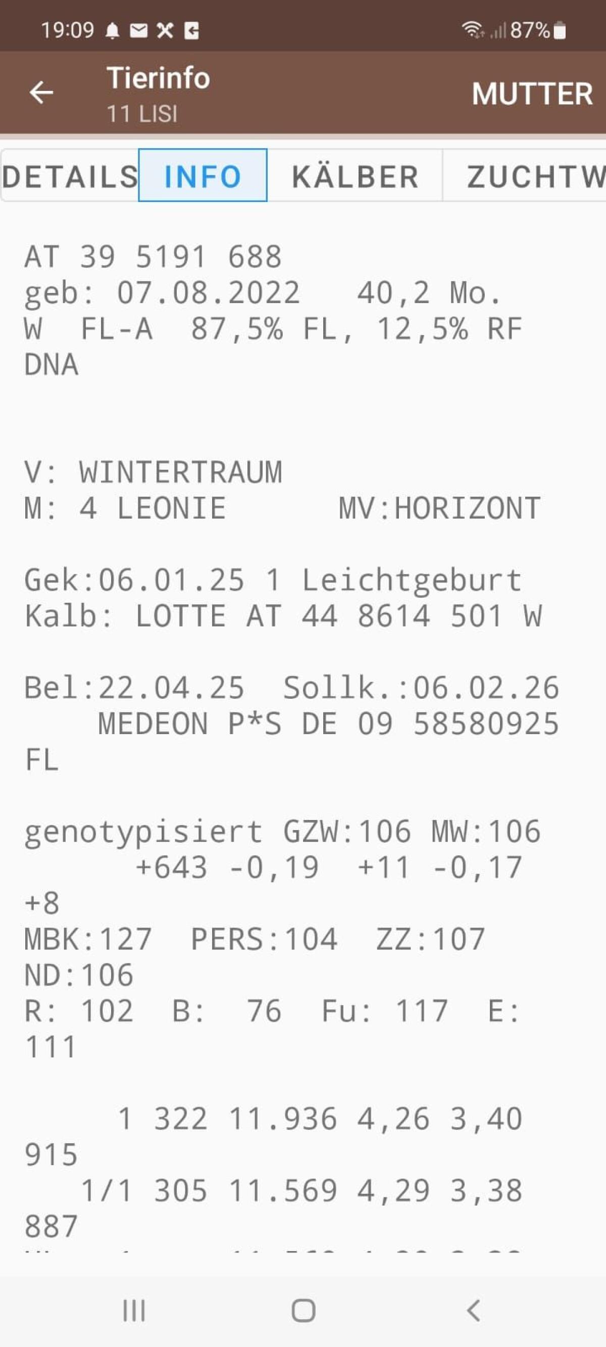 Fleckvieh Erstlingskuh 3