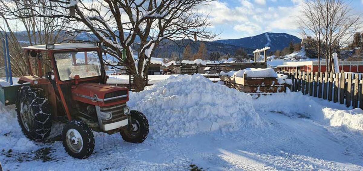 Zugmaschine Massey Ferguson W135 3
