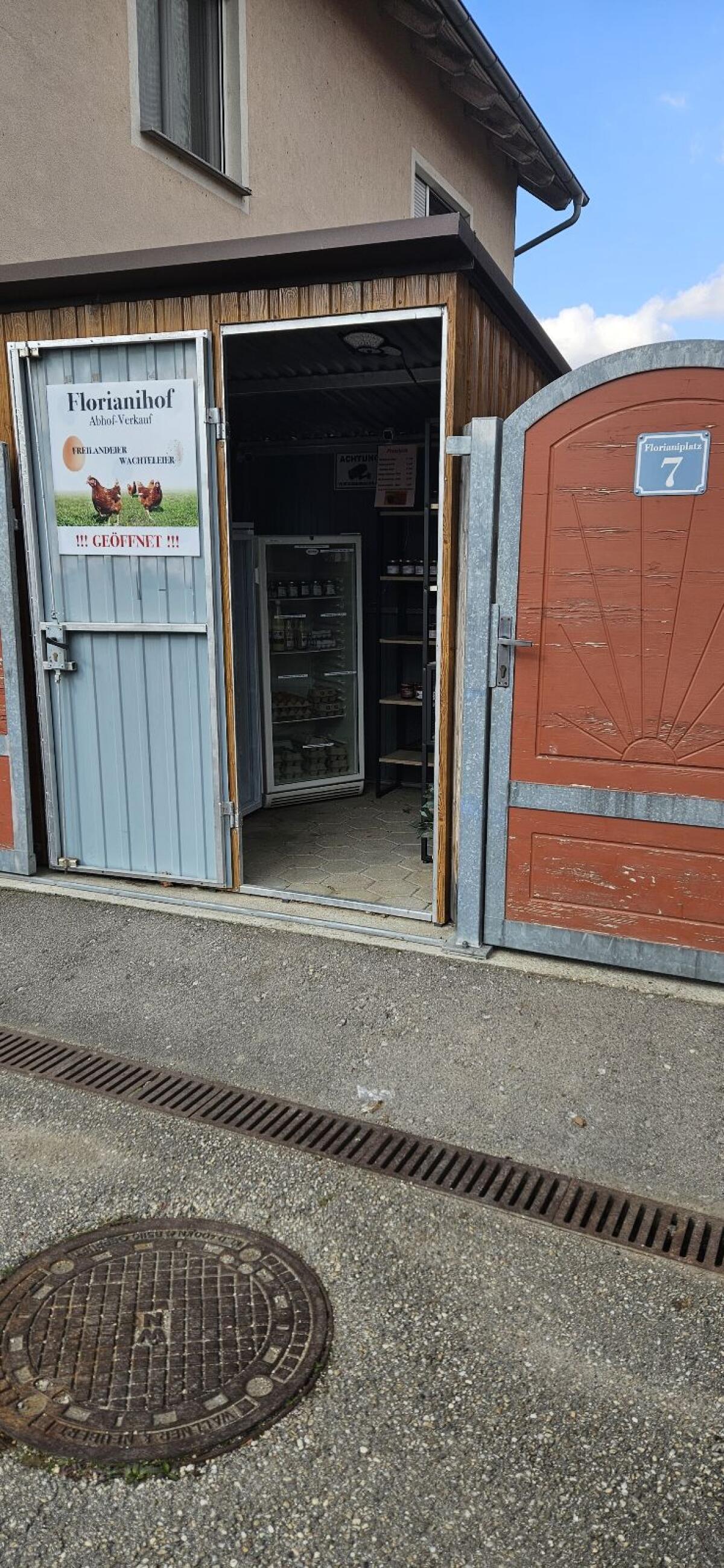 Hühner, Wachteln, Holz, Eier, diverse 3