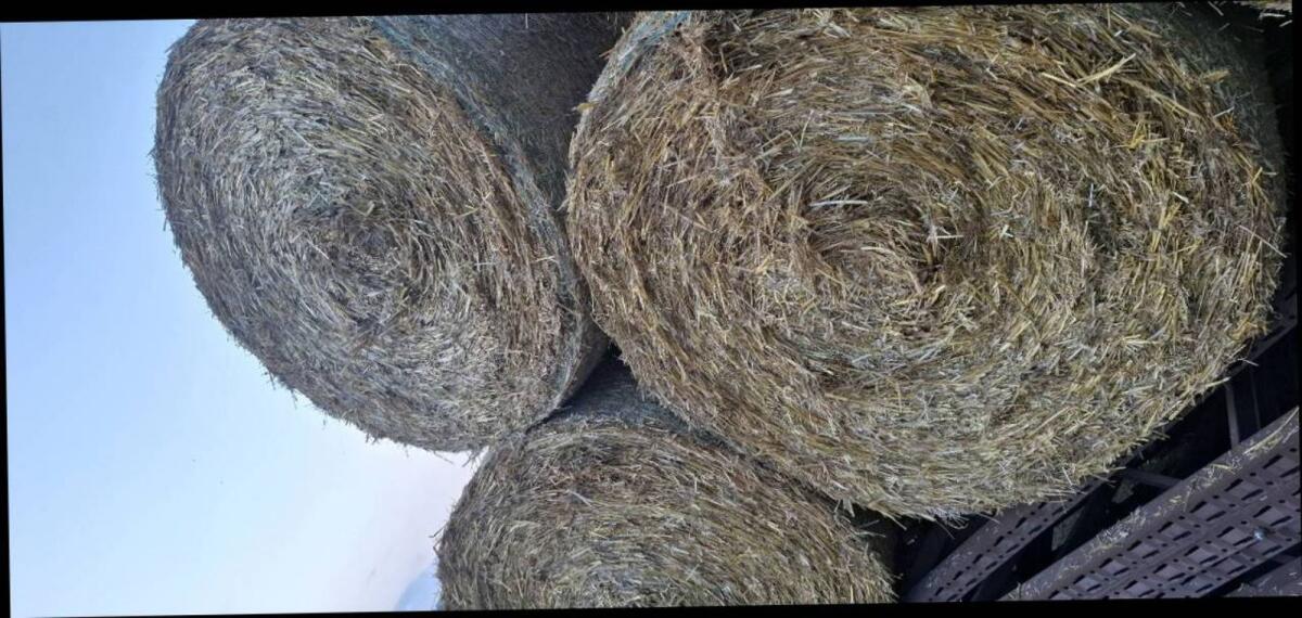 Bio Strohrundballen 1