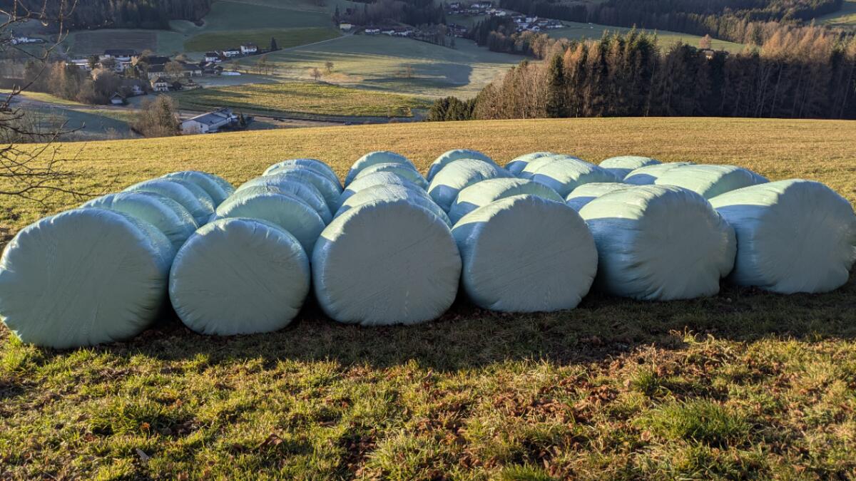 Silo Rundballen 2. Schnitt 2025 1