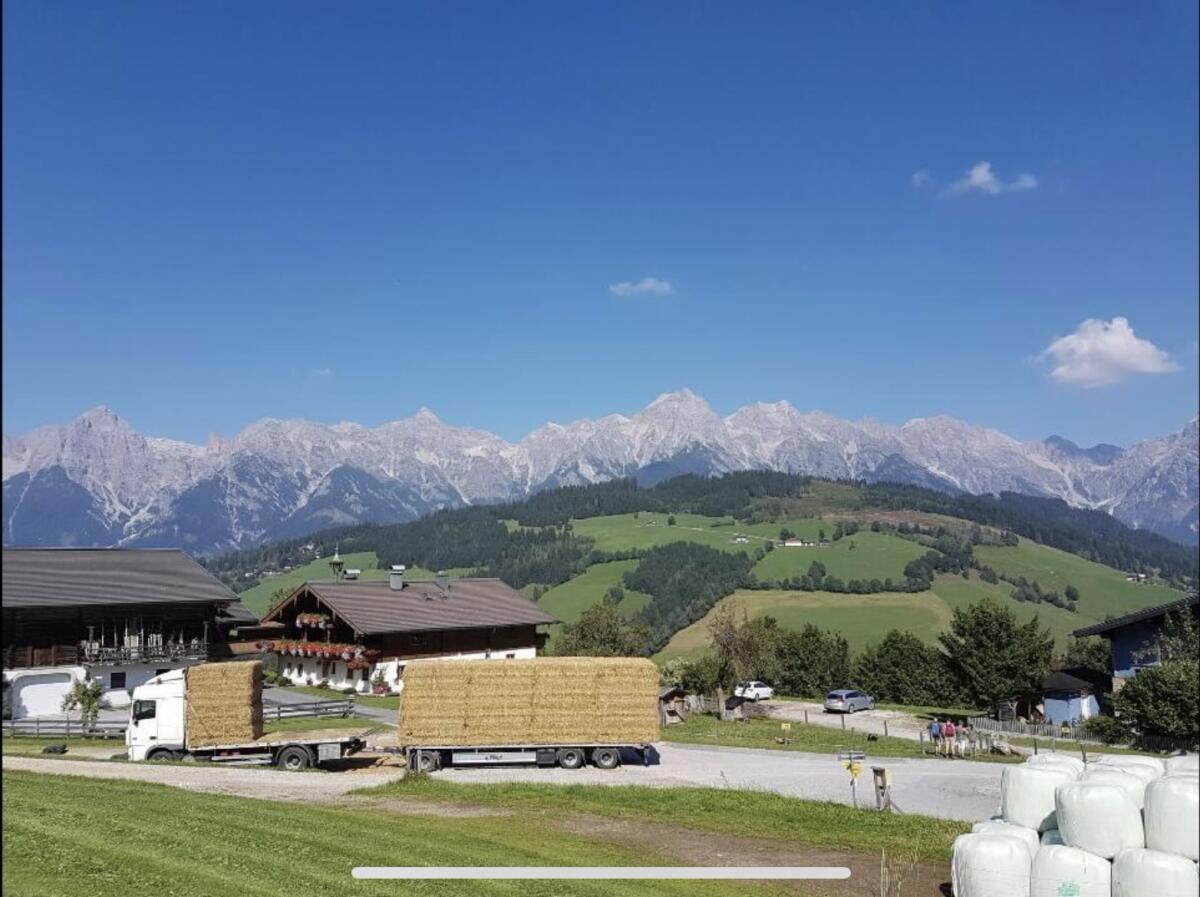 Stroh, Heu, Maisballen 2