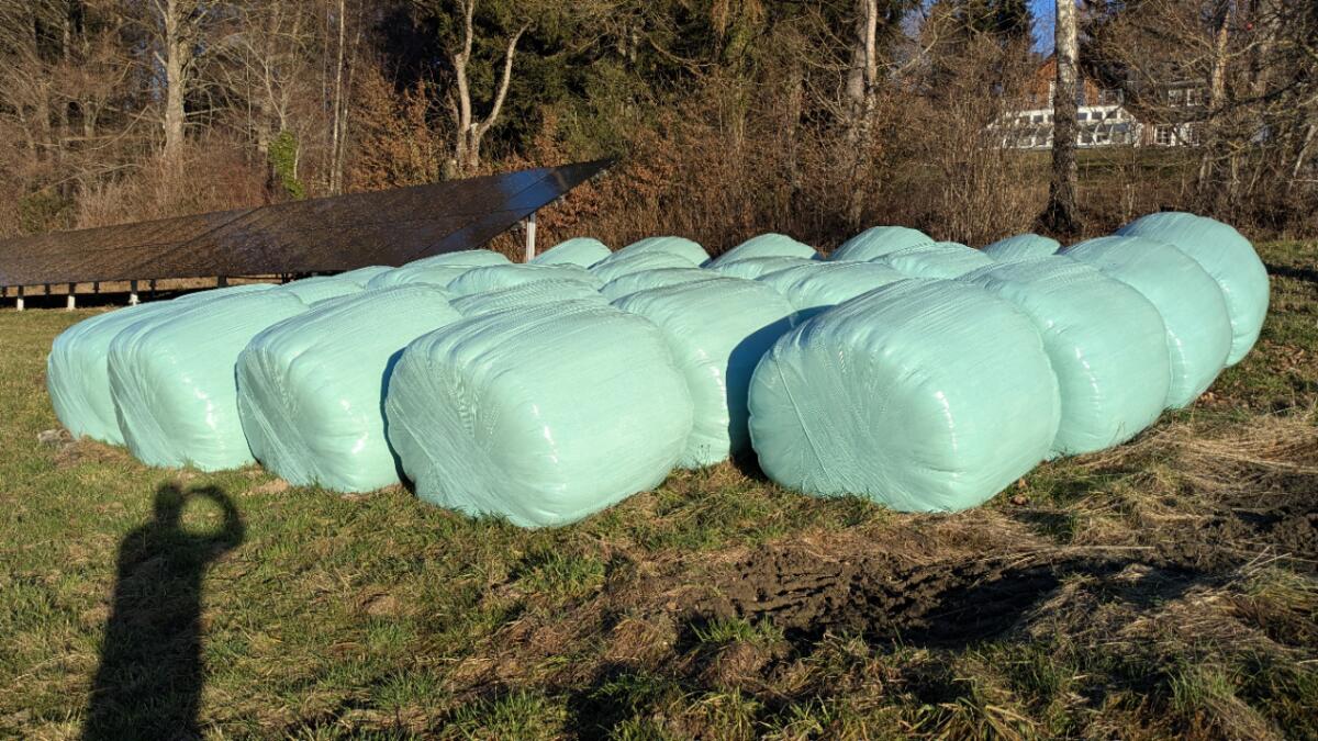 Silo Rundballen 2. Schnitt 2025 2