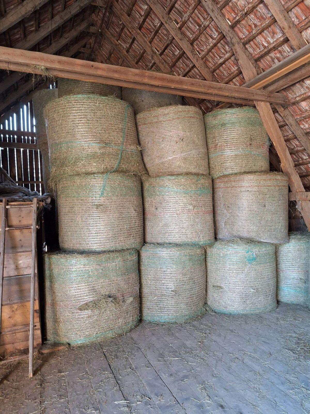 Bio-Grummetballen 2. Schnitt 3