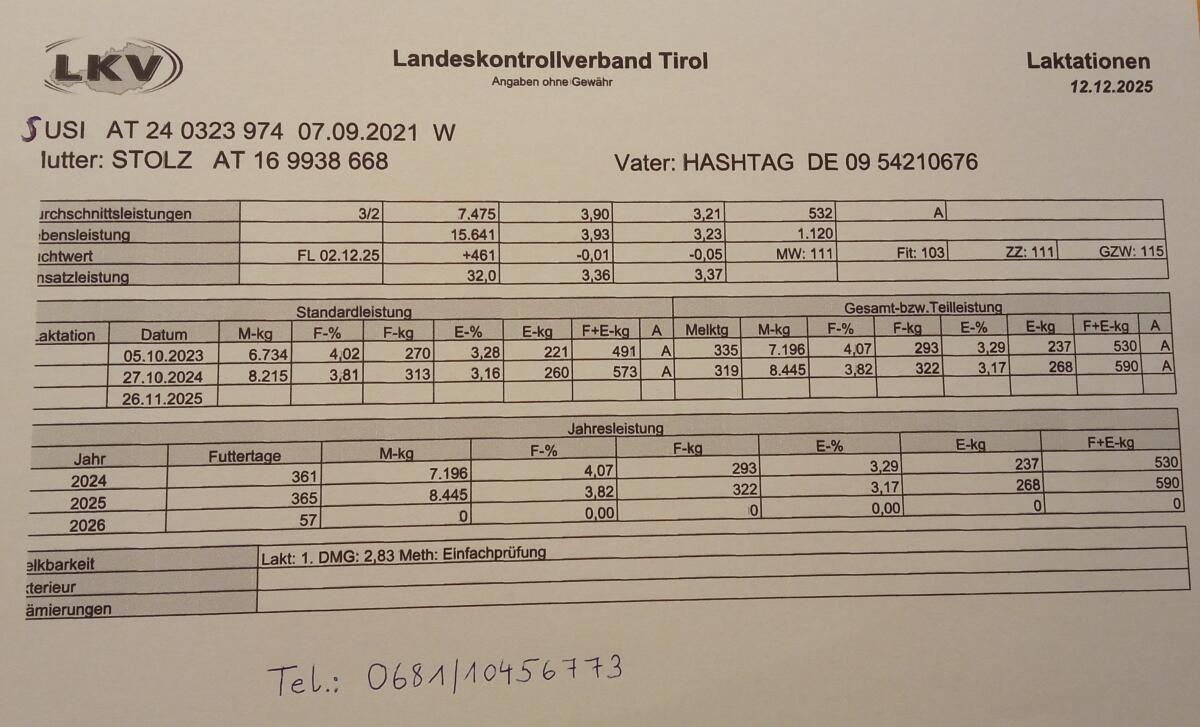 Verkaufe schöne Fleckviehkuh. 2