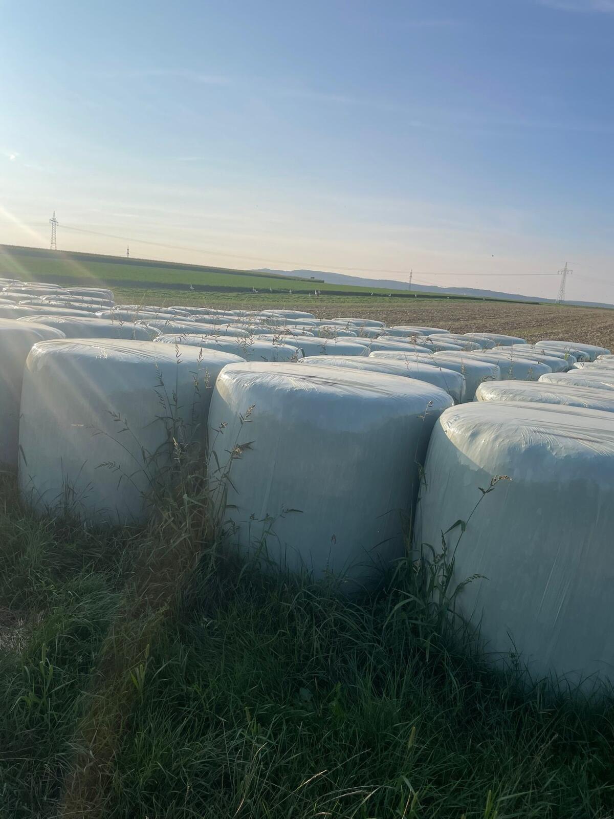 Rundballen pressen und wickeln 3