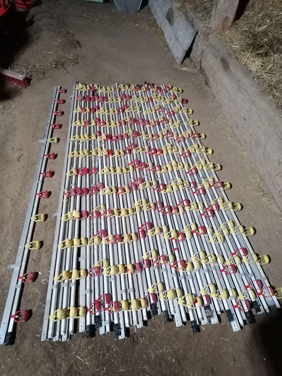 Verkaufe eine automatische Geflügel-Hühner-Tränkeranlage 1