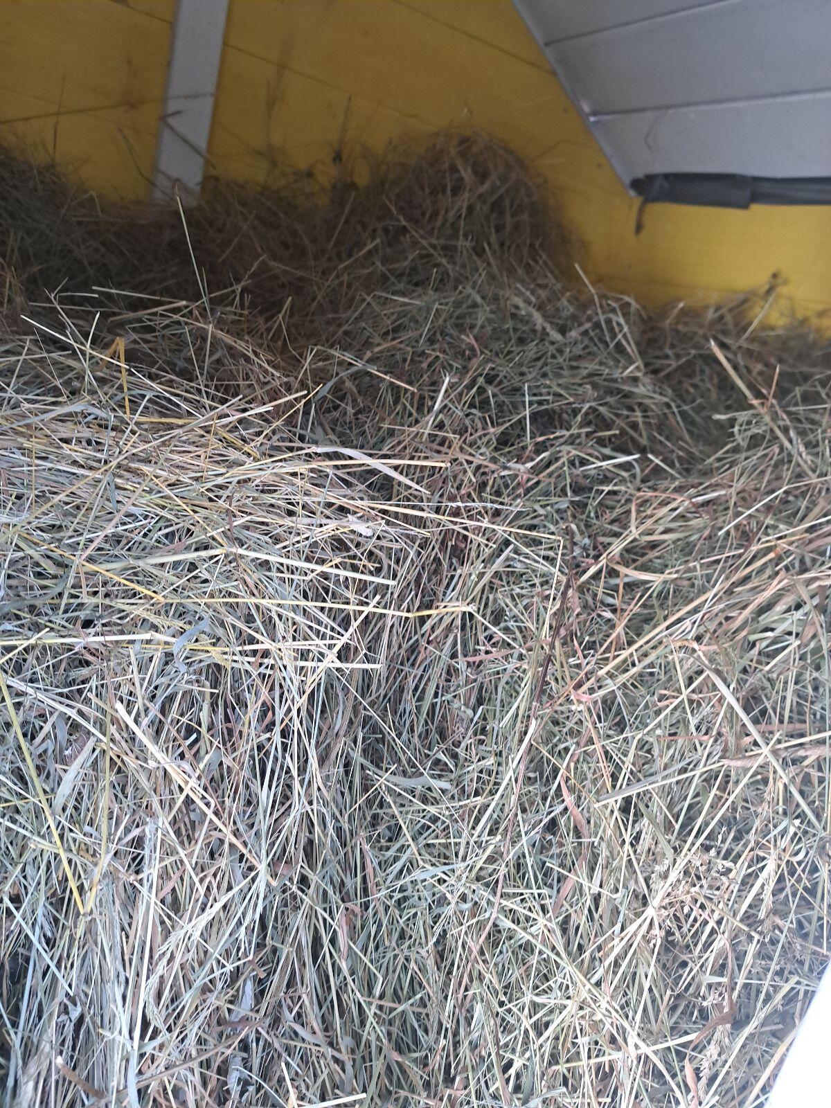 Verkaufe Heu Ersterschnitt 2025 2