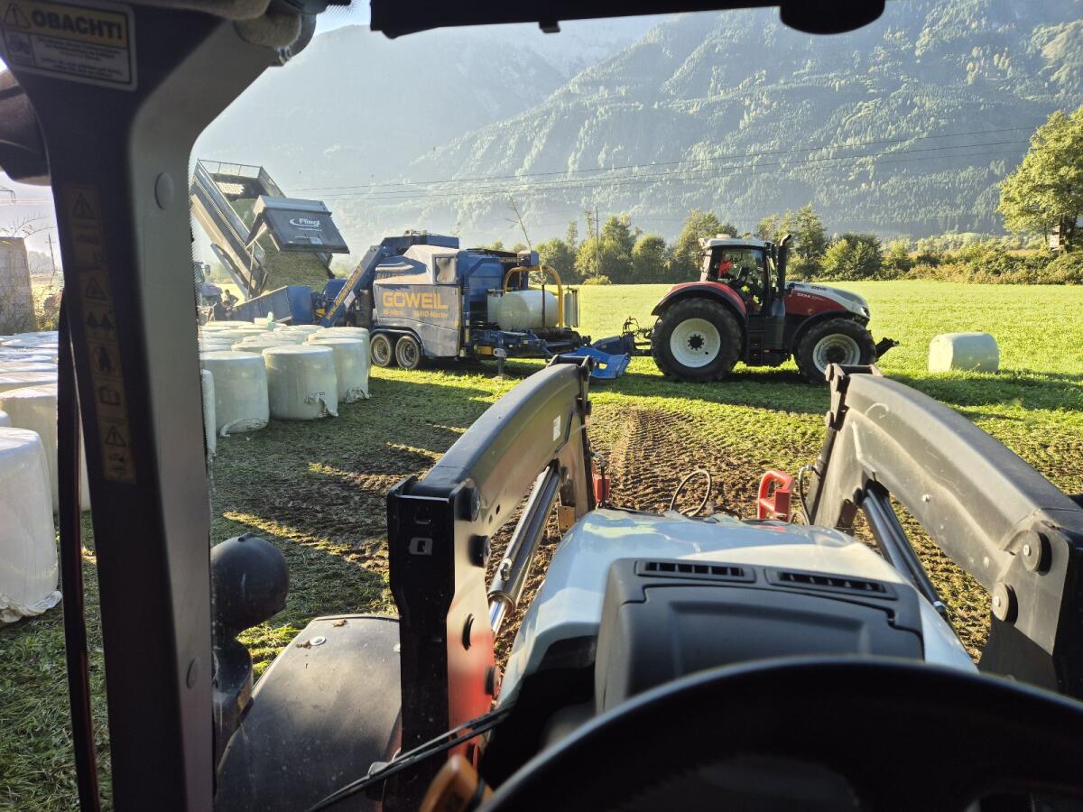Maisballen zu verkaufen 1