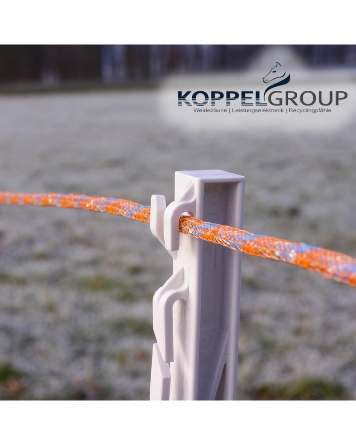 Weidekordel 500 m 6 mm, MAXALON, Made by Koppel-Group 2