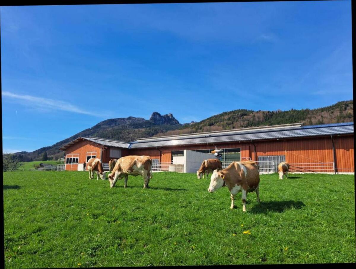 Praktikum Sommer 2026 1