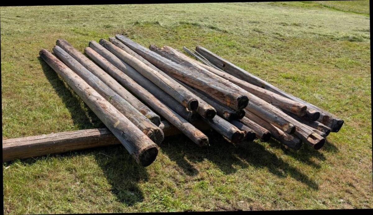 Rundholzbalken von Feldstadl 1