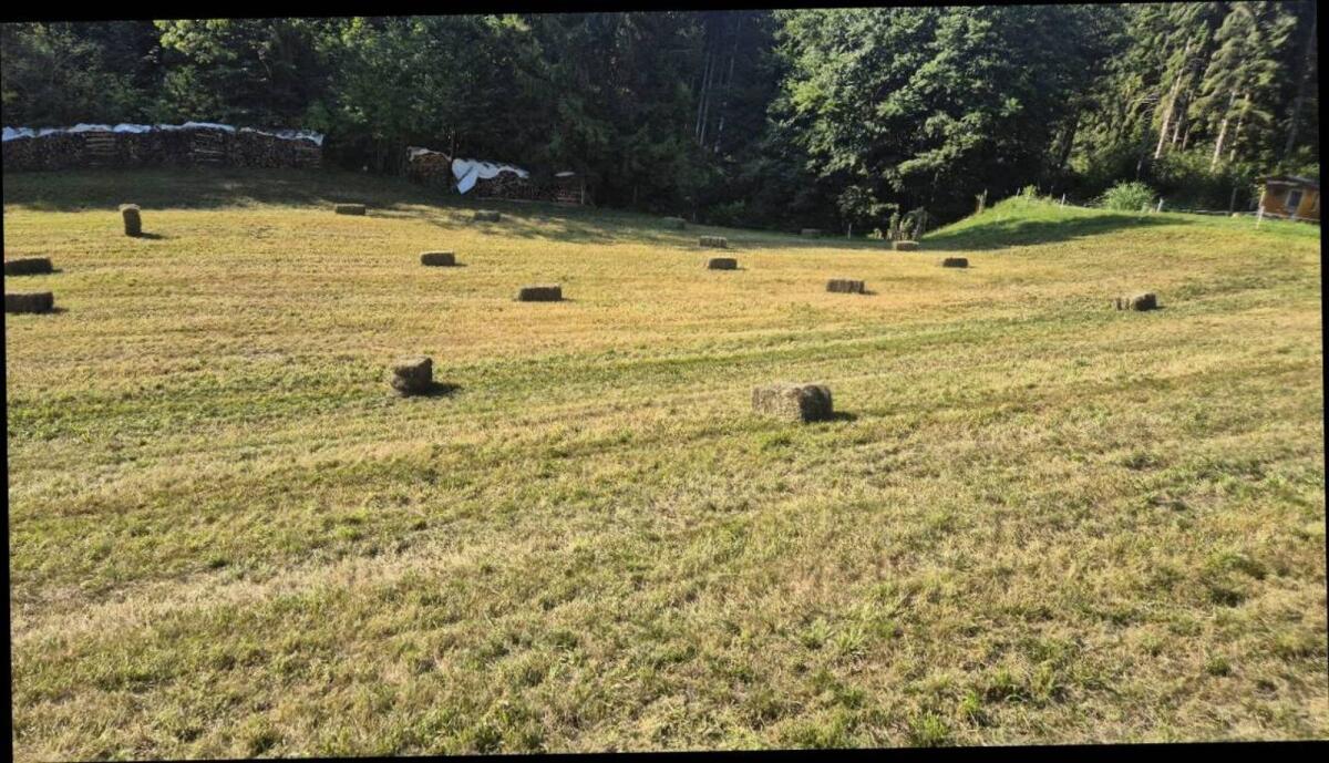 Heu und Grummet Kleinballen 1