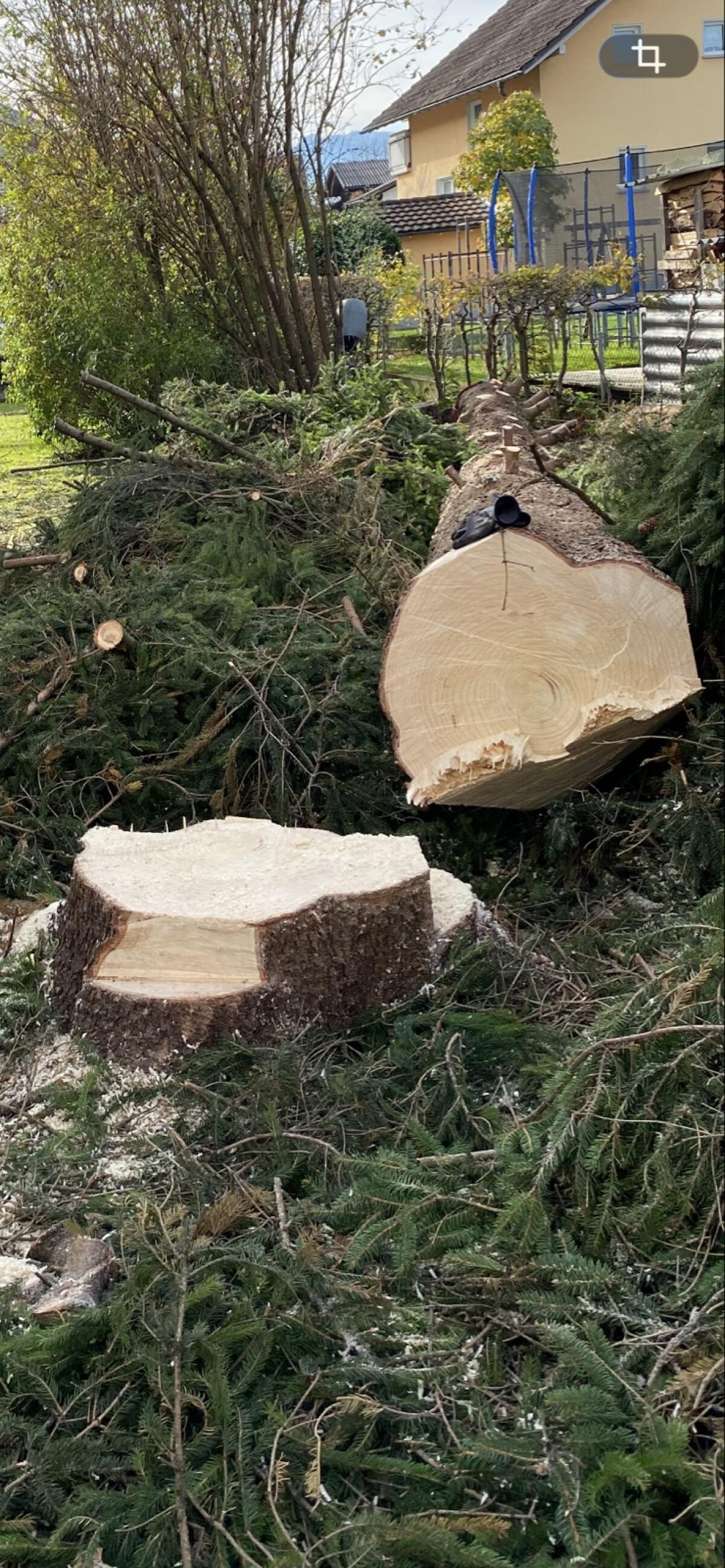 Forstunternehmen Rebenklauber 1