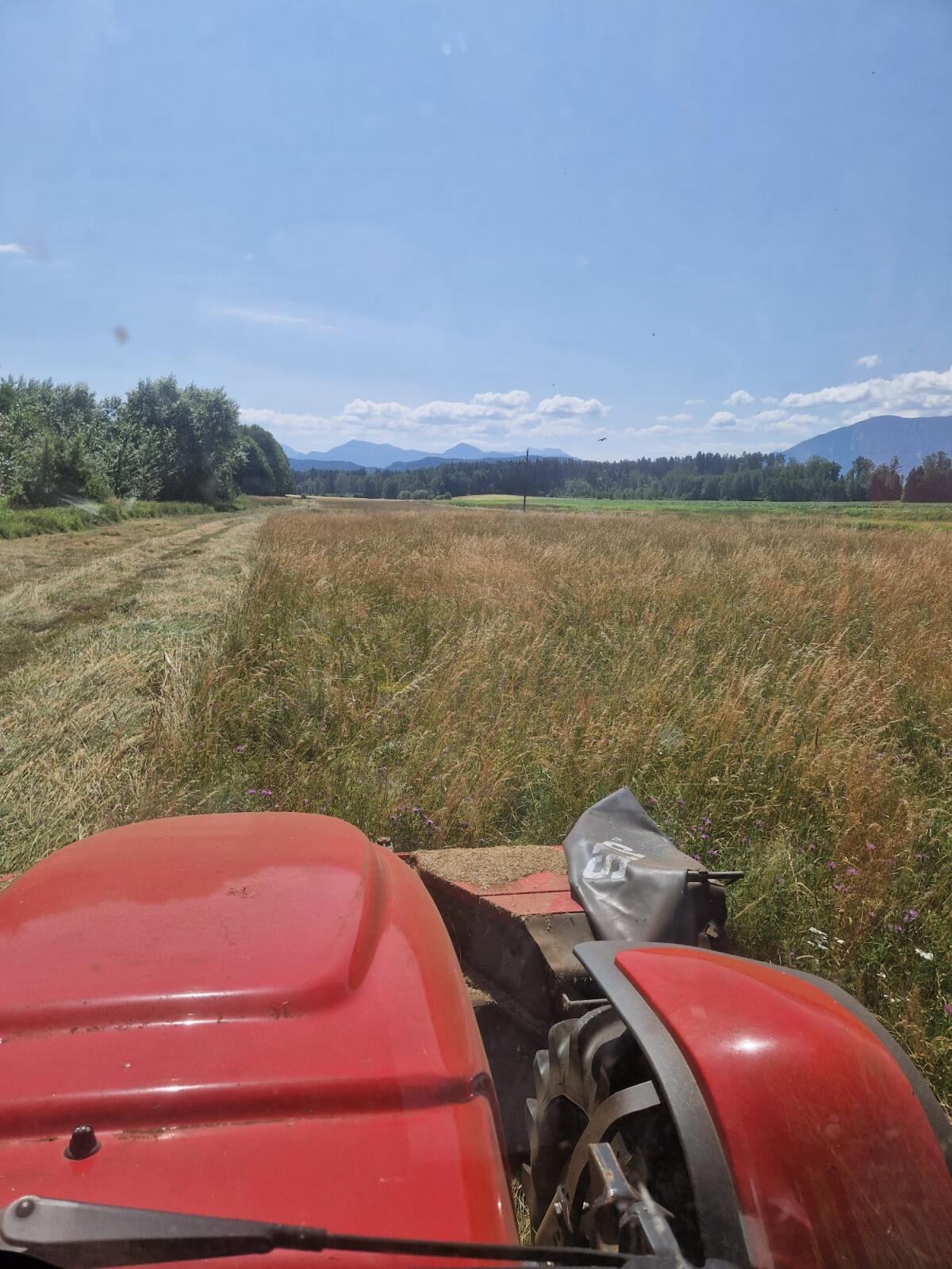 Heu in Kleinballen 3