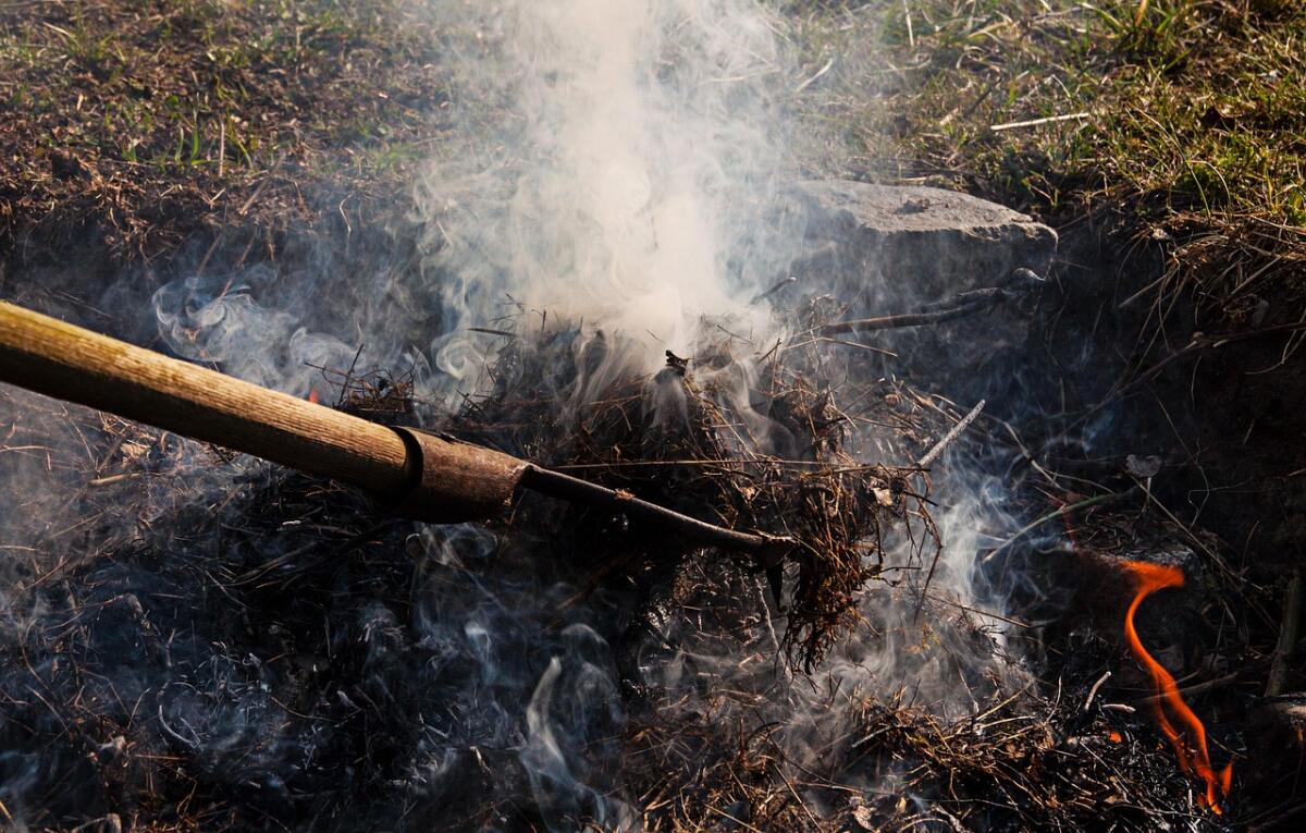 Pferdemist abzugeben 1