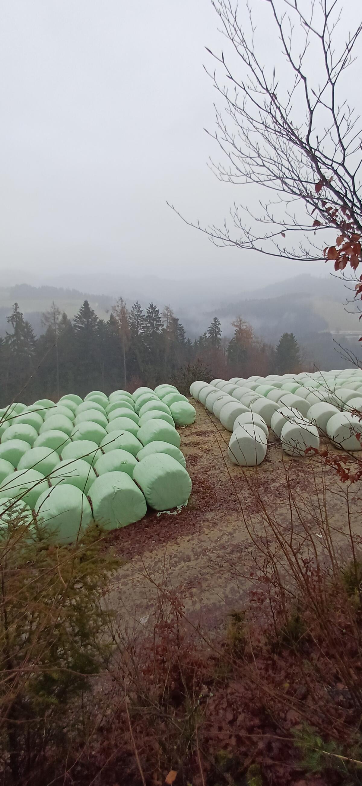 Siloballen/Maisballen 1