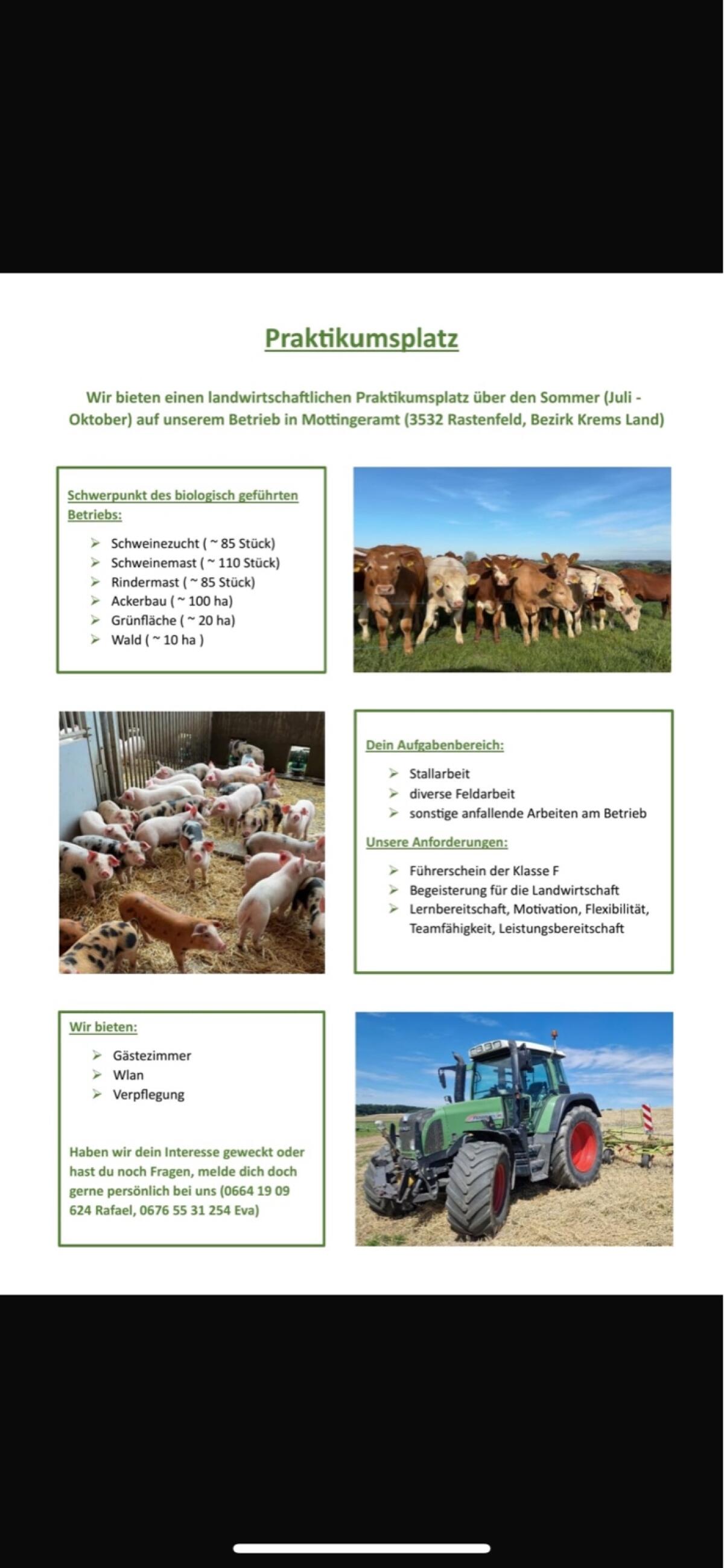 Praktikumsplatz 2026 1