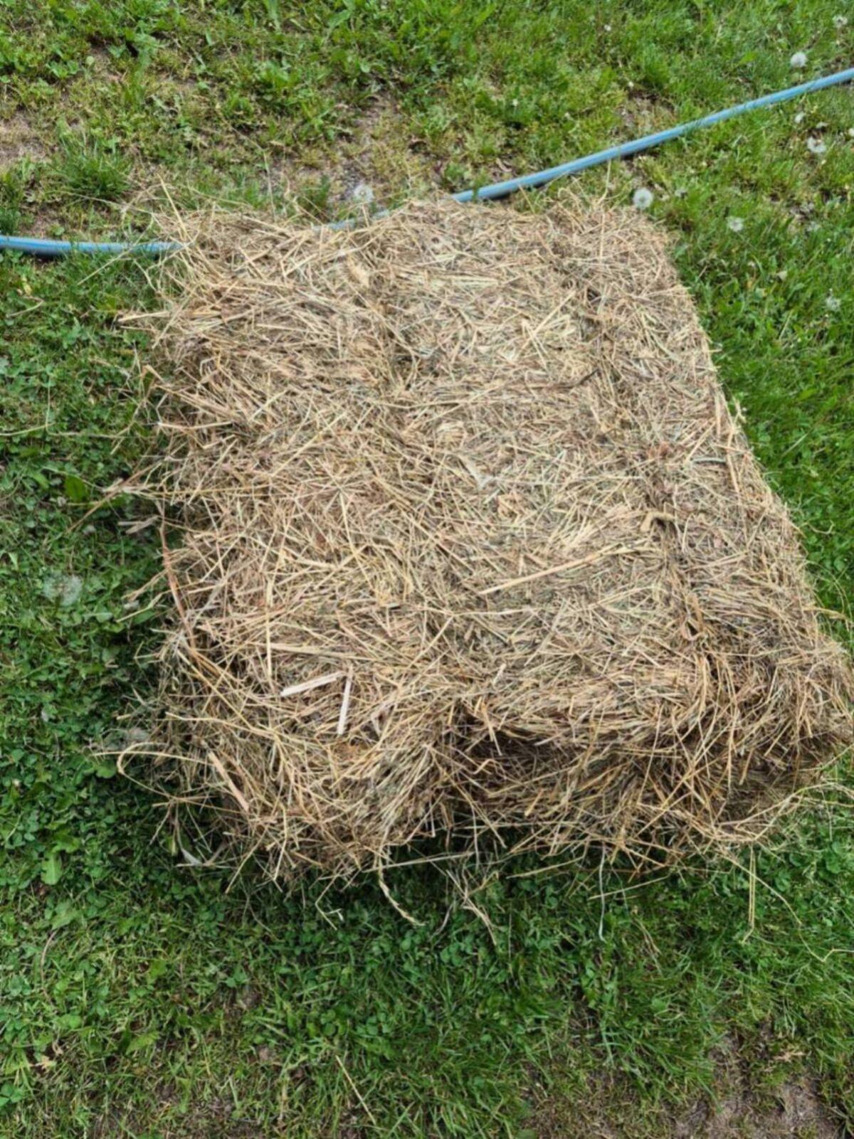 Altes Heu zum Einstreuen, kleine Ballen 1