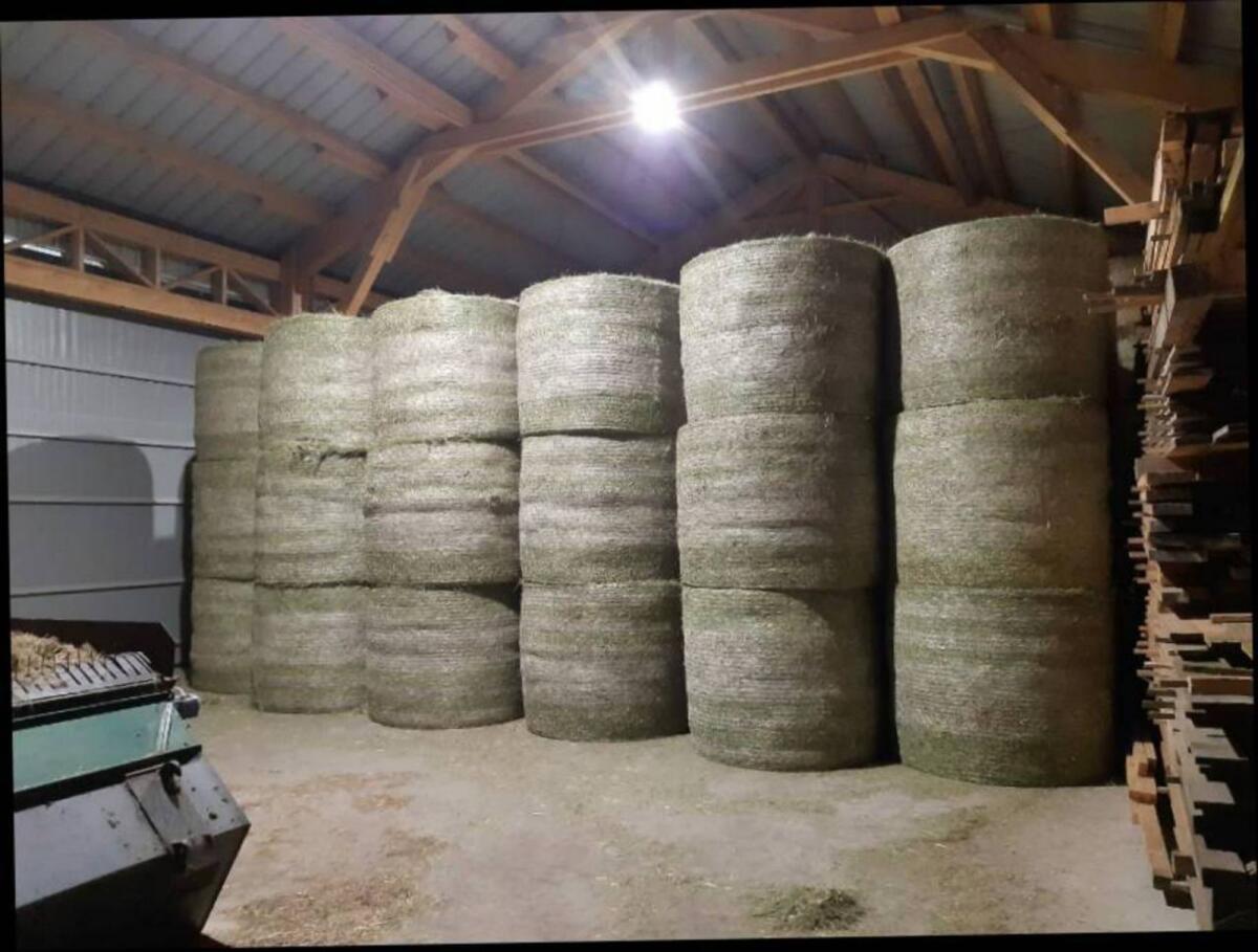 Bio Heu Rundballen 2
