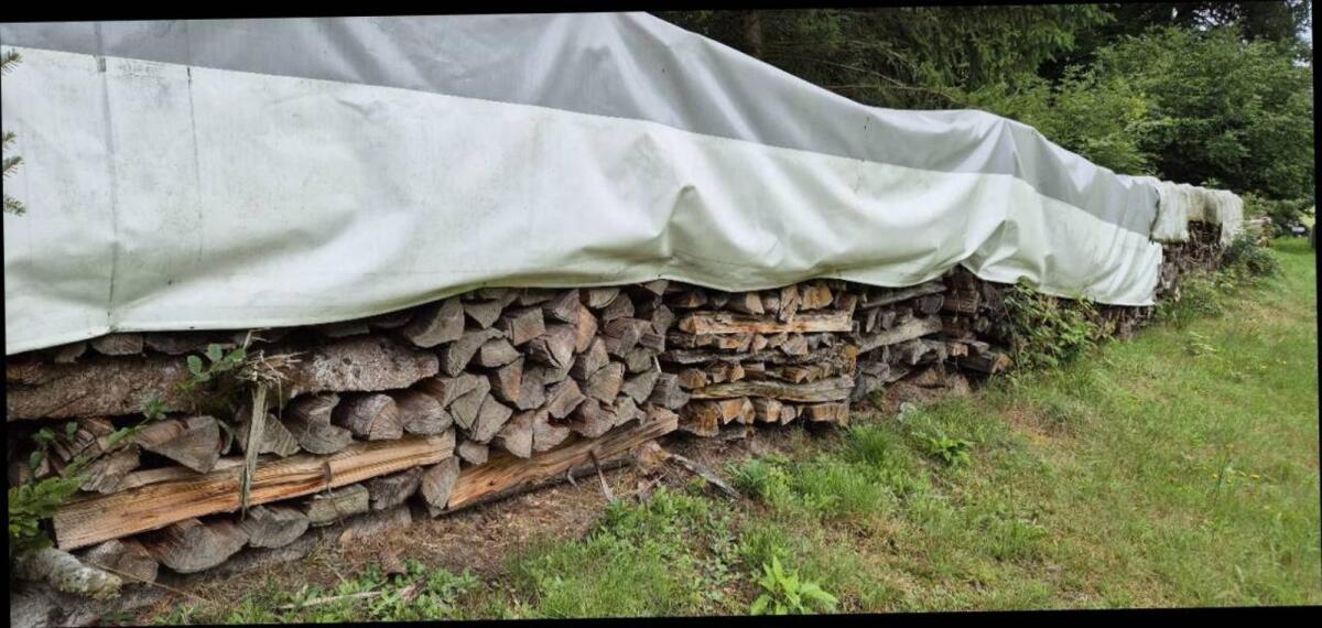 Brennholz/Hartholz 1