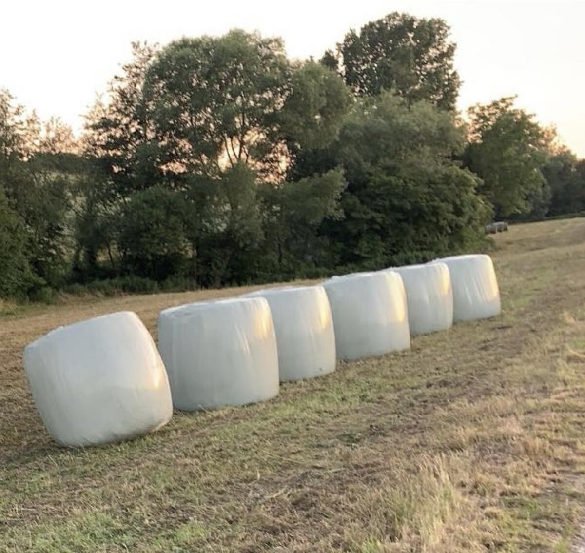 Lohnwickeln, wickeln, Silageballenwickeln Tanco AutowrapS200 1