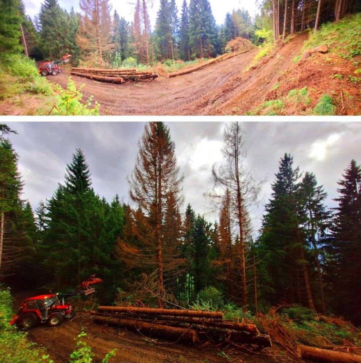 Forstunternehmen Schlögl 2