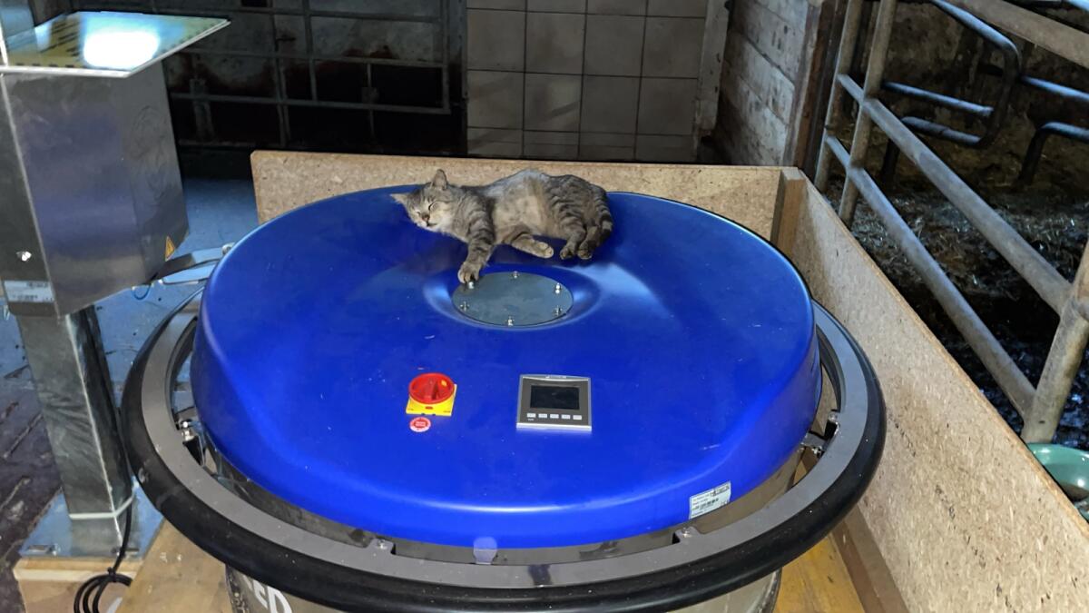 Hetwin Stallboy Feed Futterschieber 2