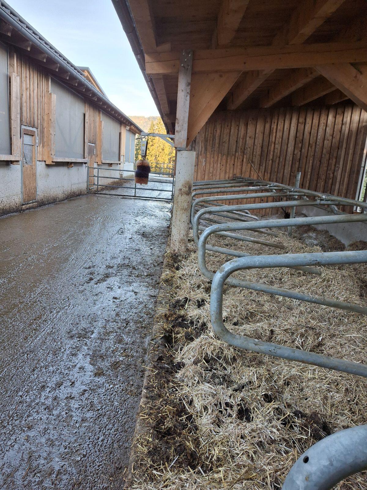 Freie Aufzuchtplätze (BIO) 3