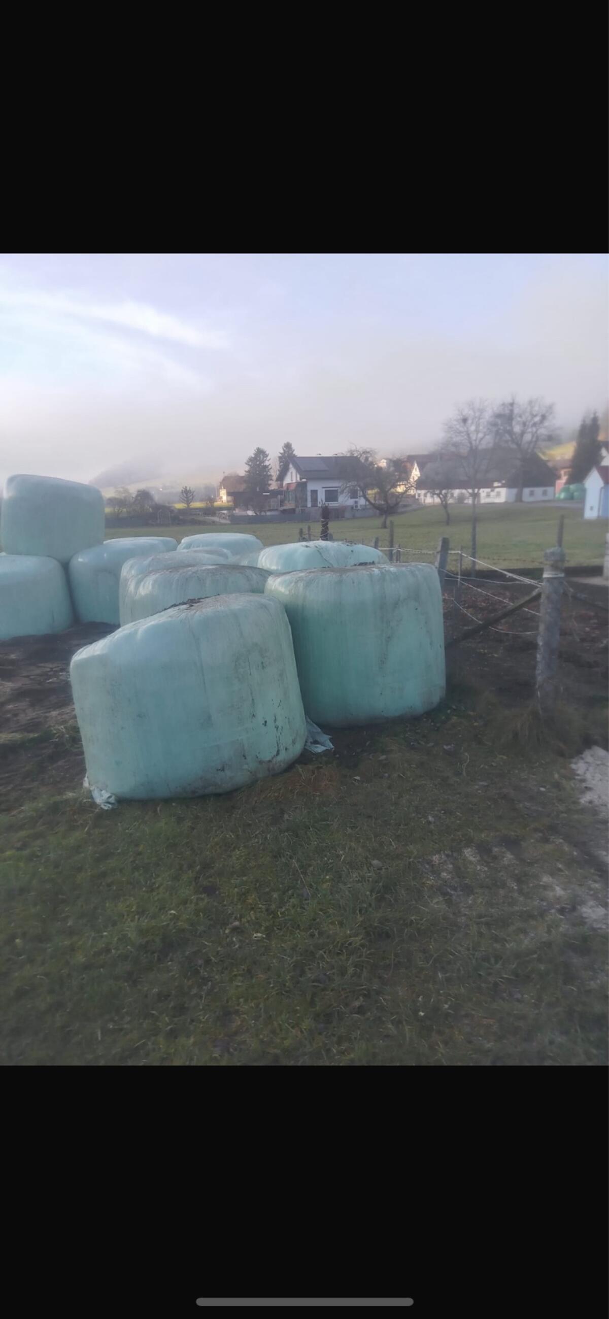 Verkaufe Silageballen 3