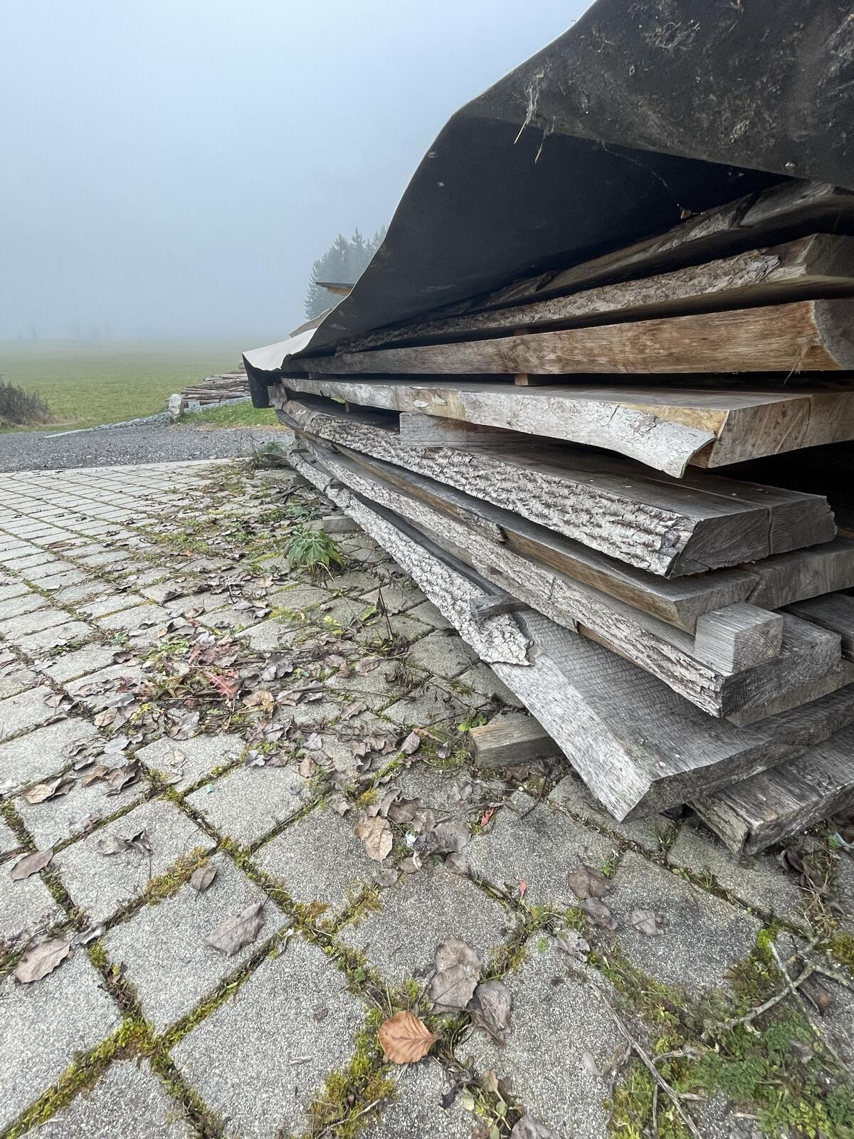 Ahorn-Eschenpfosten 1