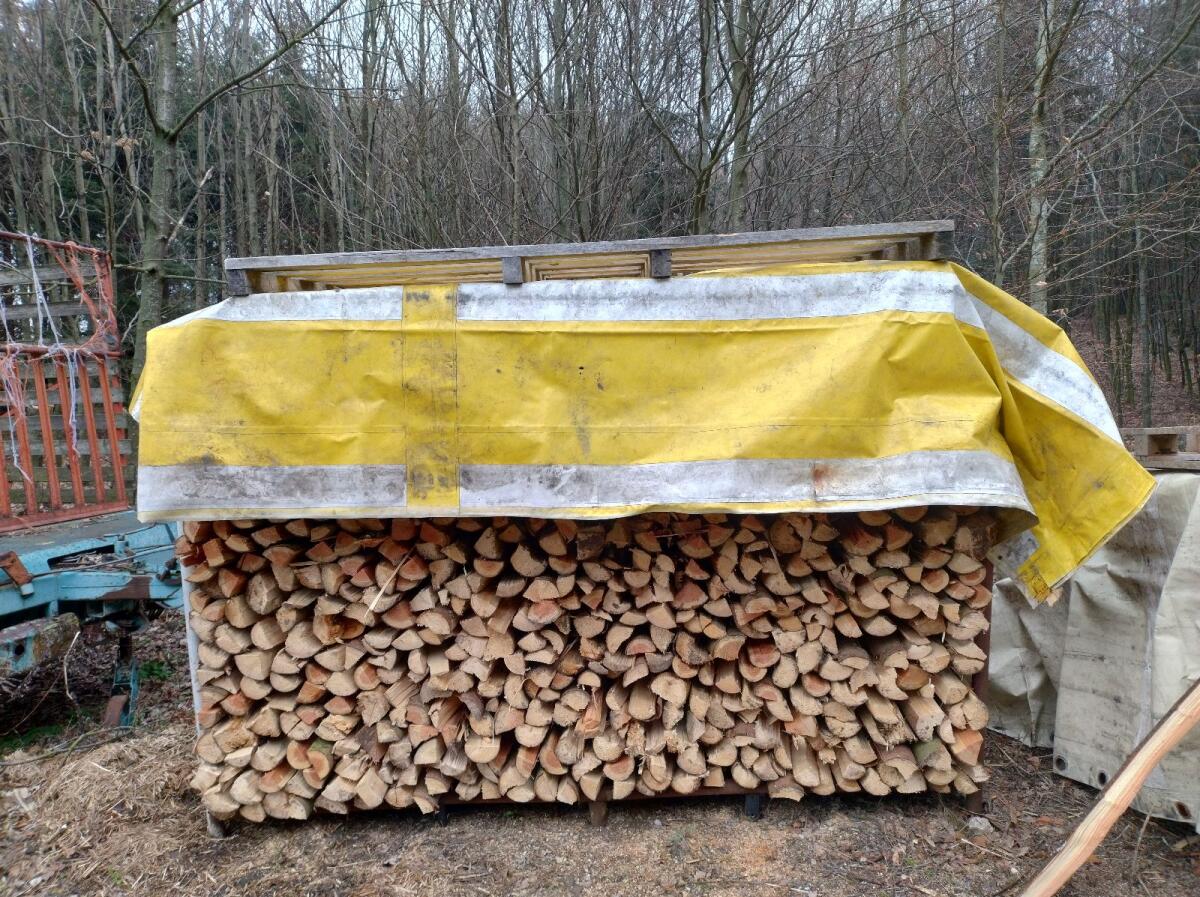 Brennholz 1