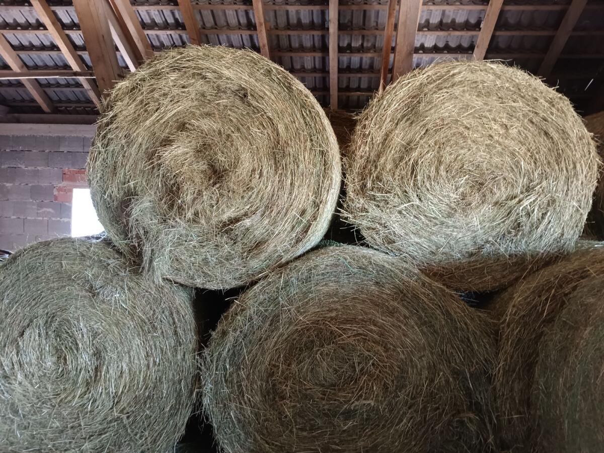 Bio Heu, Pferde Heu 1