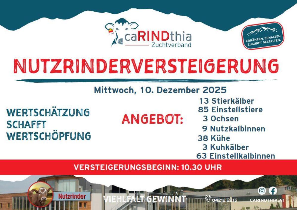 Einsteller Nutzrinder 2