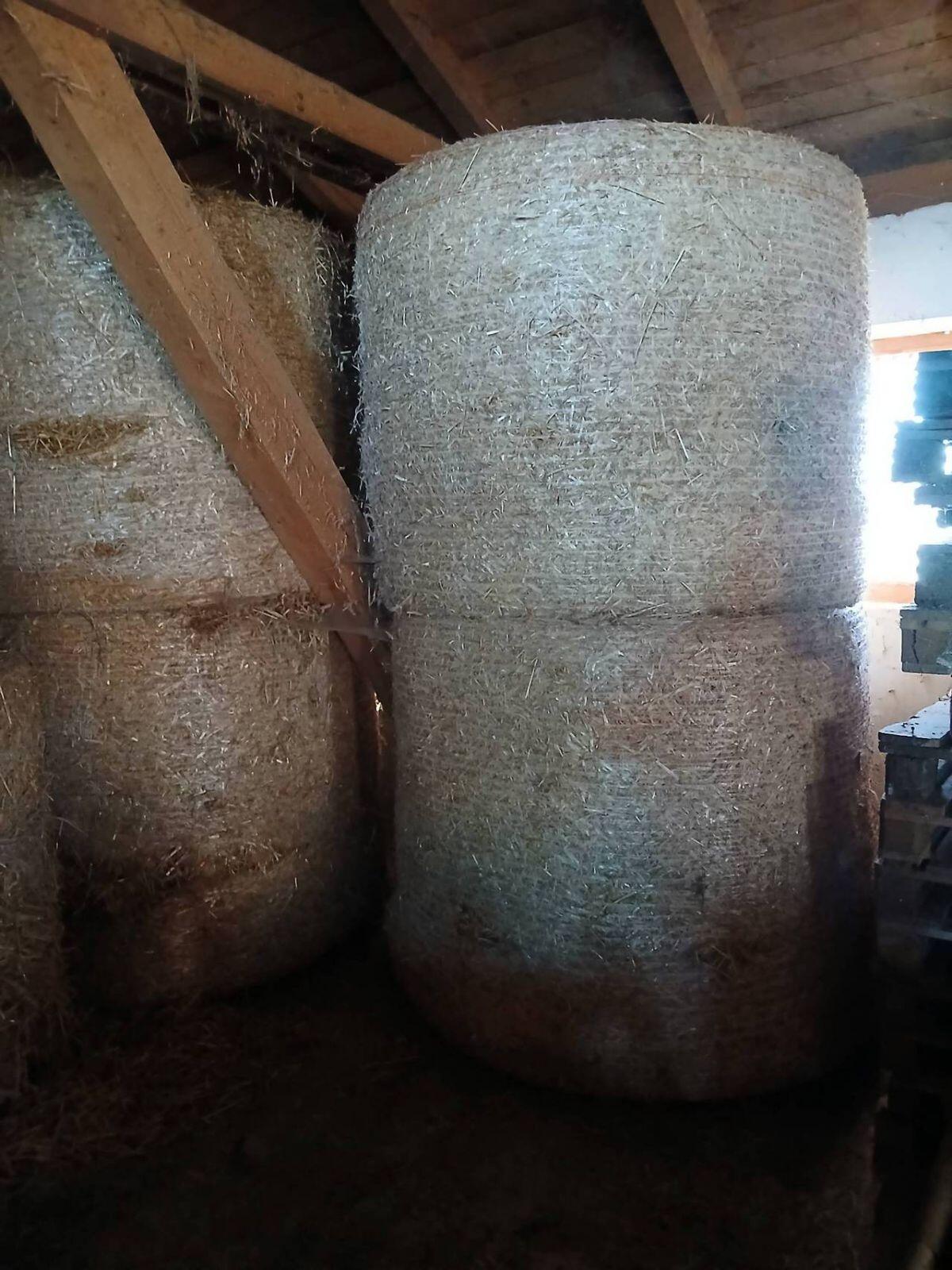 Strohballen für Einstreu 1