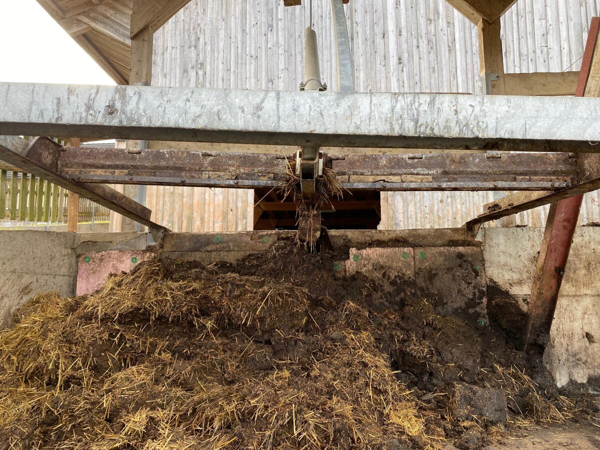 Pendelschieber Mistschieber Schauer 2