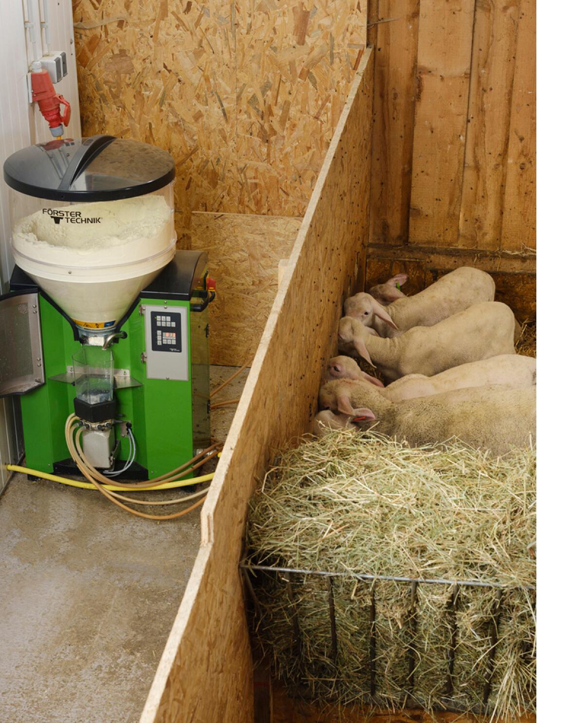 Suche Lämmer Tränkeautomat 1