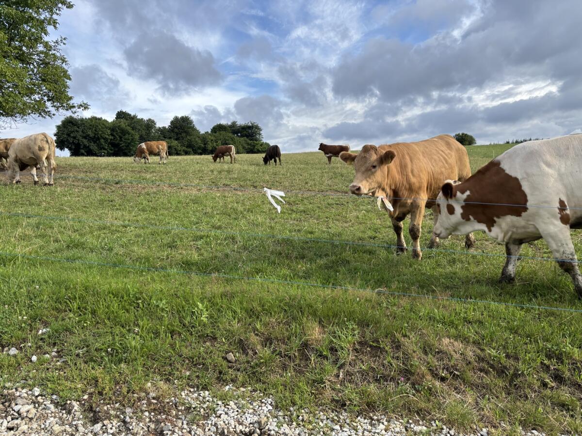 Praktikumsplatz 2026 3